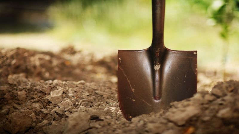 Five Important Money-Saving Tips for Choosing Landscape Materials in Camden County
