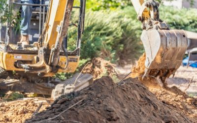 Understanding the Services Offered by Professional Mulch Companies